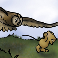 A011-what-a-hoot