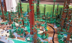 IMG_20130428_101433